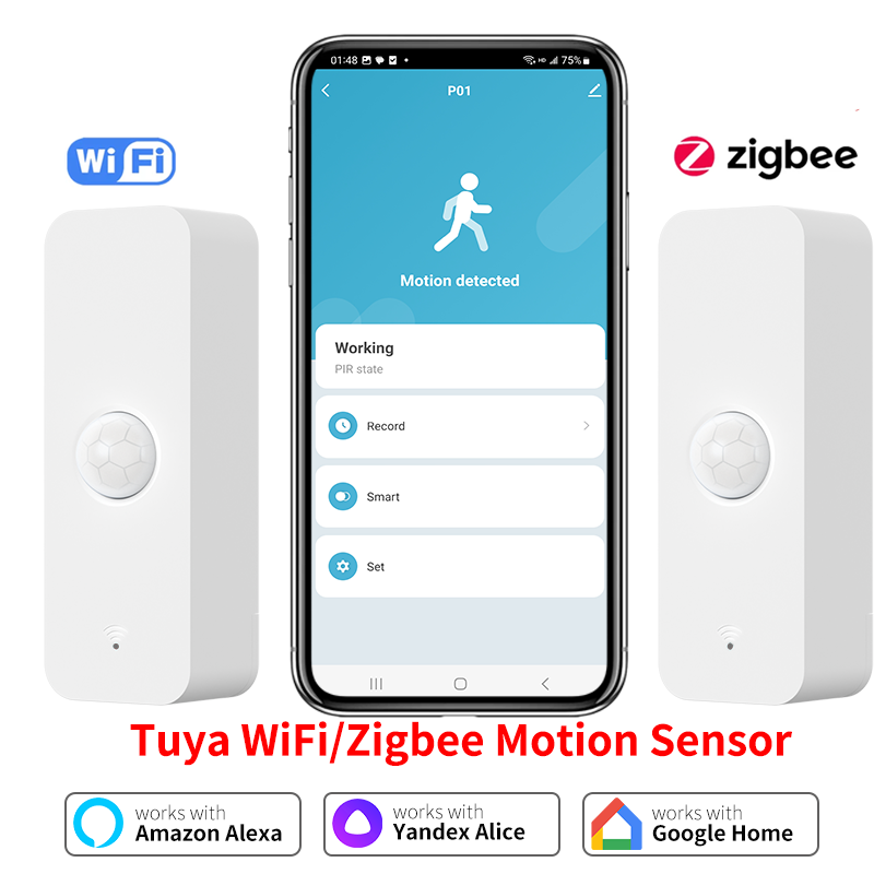 Smart Home Outdoor - Tuya WiFi Zigbee PIR Motion Sensor