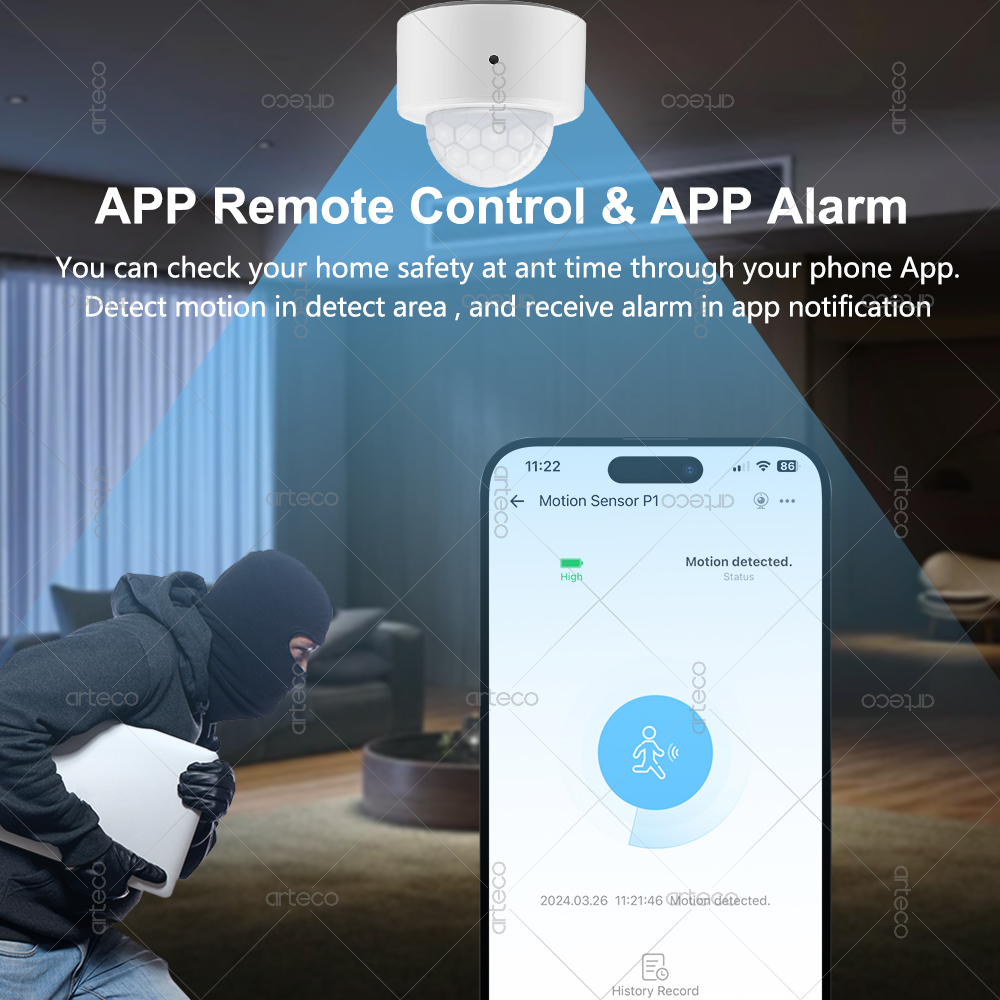 Ewelink Zigbee PIR Motion Sens - Smart Home Security recensie en prijs