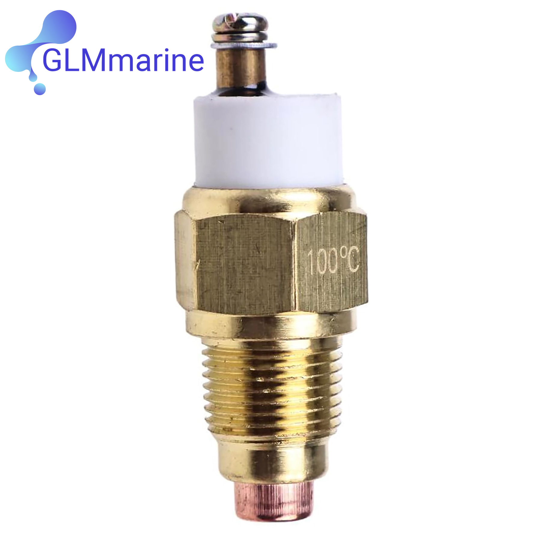 100°C Water Temperature Sensor - Temperature Sensor recensie en prijs