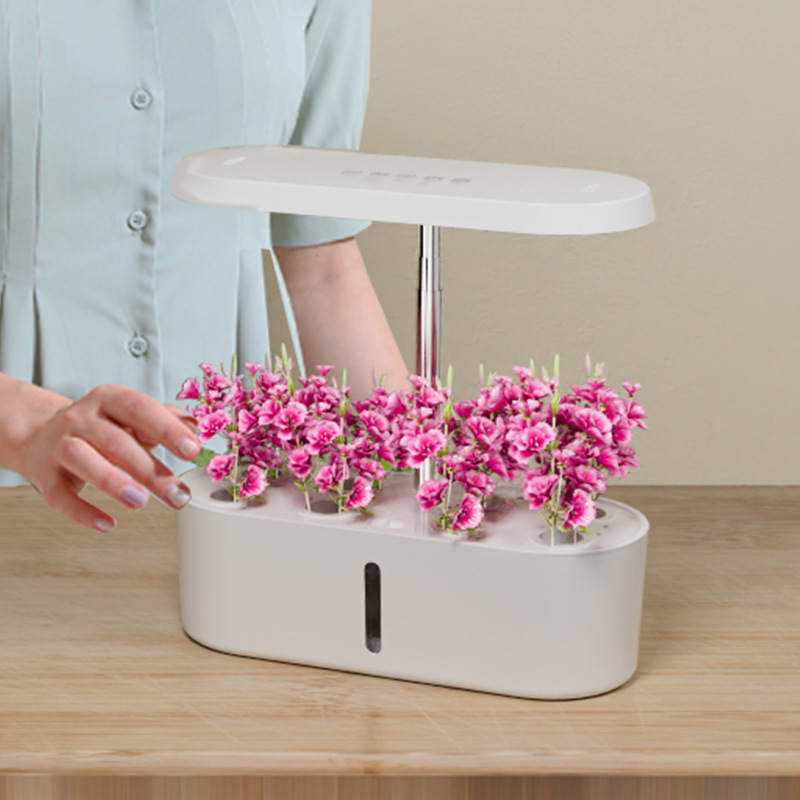 Home Smart Hydroponic Vegetabl - Smart Home recensie en prijs