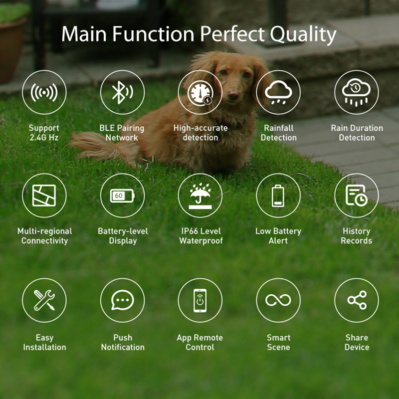 WiFi Rain Sensor Rainfall Dura - Smart Home Villa recensie en prijs