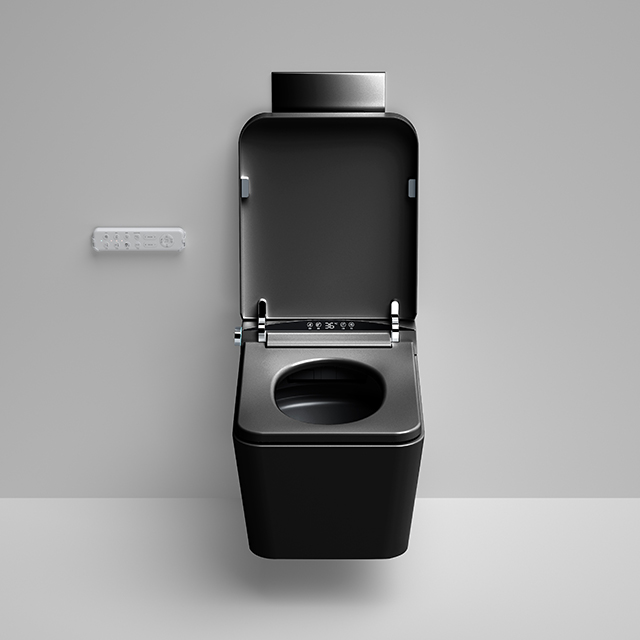 Home Ceramic Bidet Smart Toile - Smart Home Control recensie en prijs