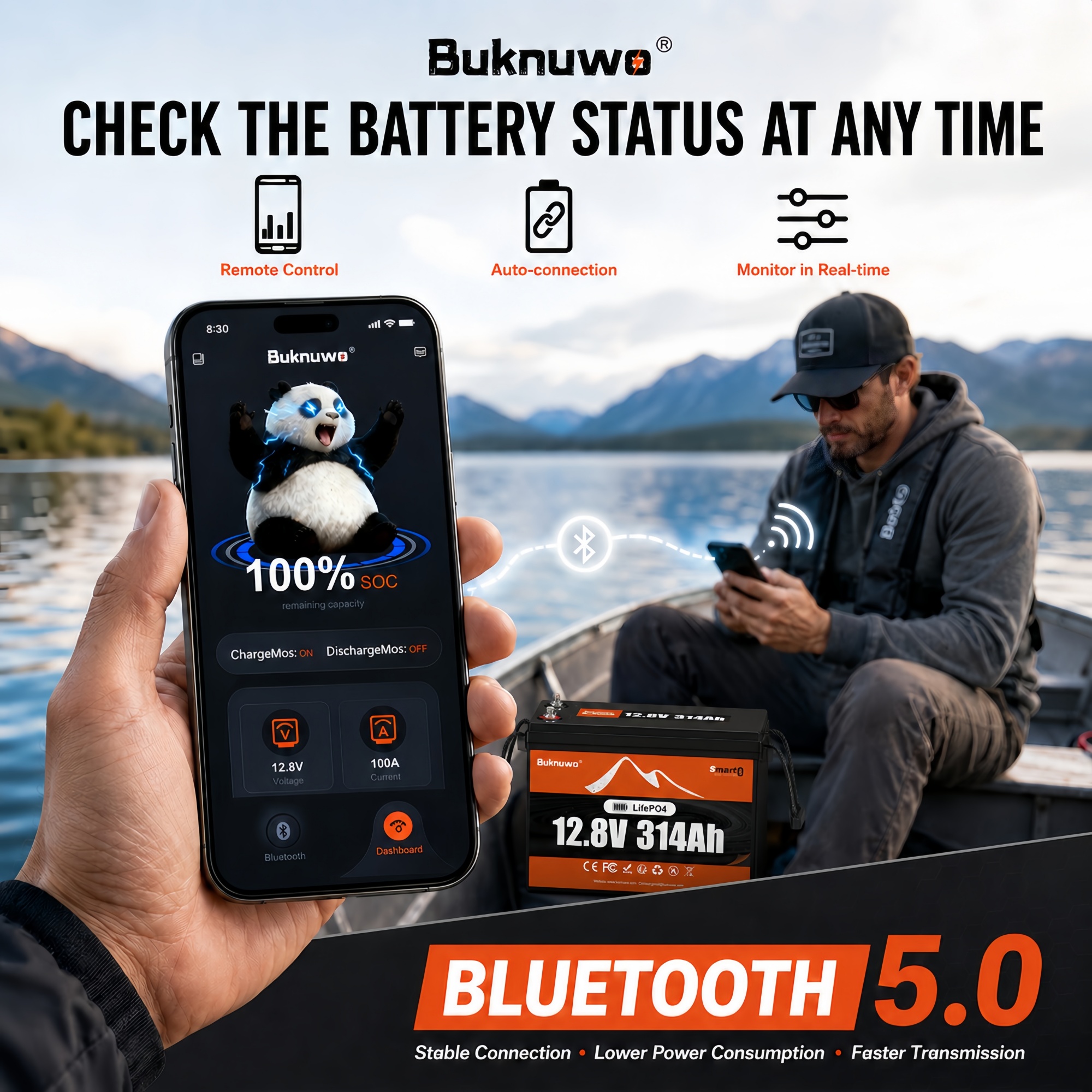 Smart 12V/12.8V 314Ah Bluetoot - Smart Home Outdoor recensie en prijs